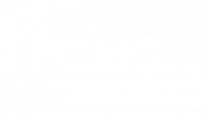 FCHC Orthopedics